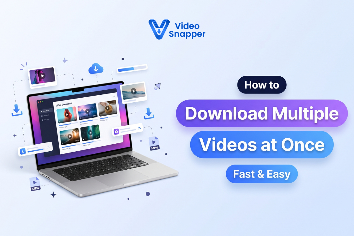 How to Download Multiple Videos at Once With VideoSnapper